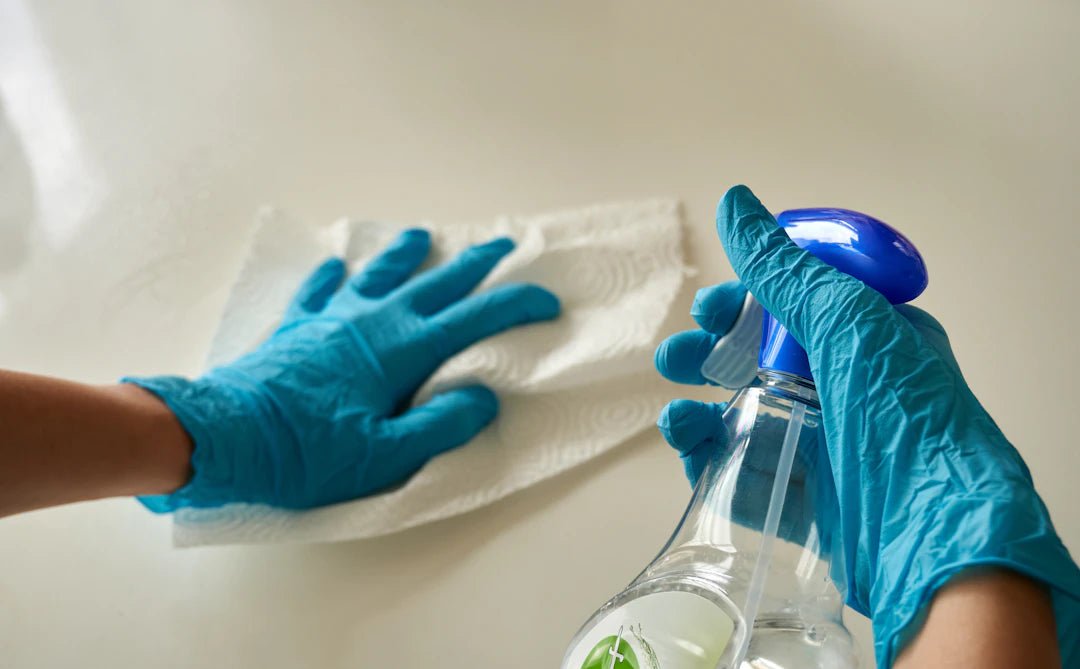 The Unseen Power of Enzymes in Cleaning and Scent - Clean Guy