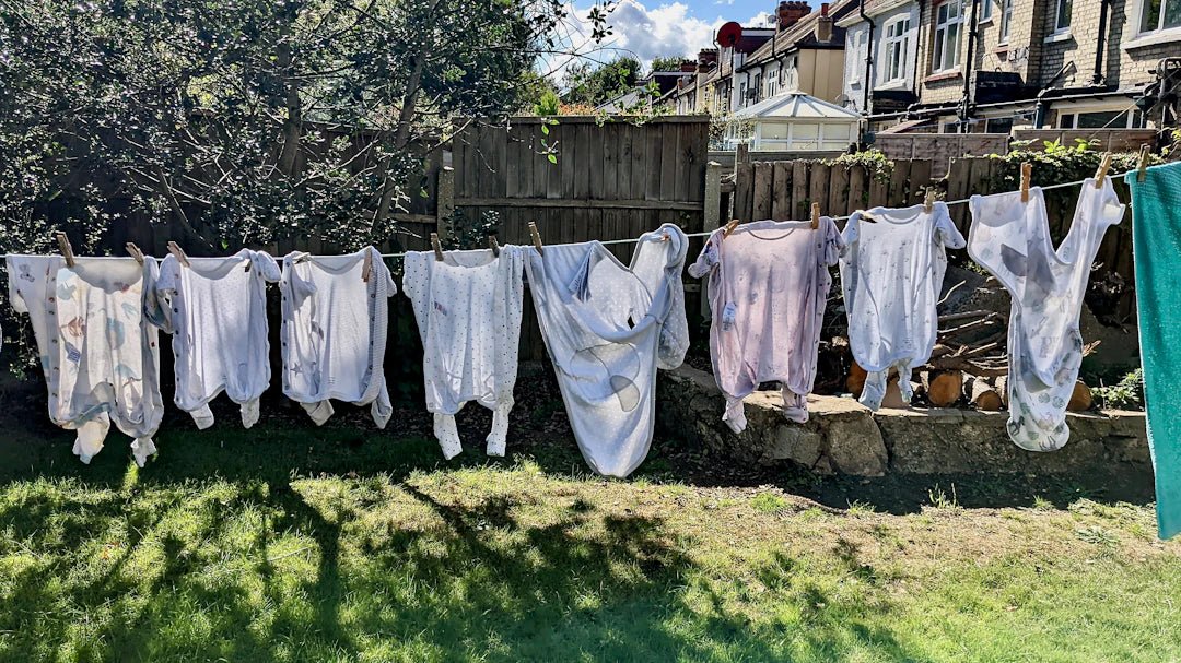 The Hidden Environmental Cost of Traditional Laundry Detergents - Clean Guy