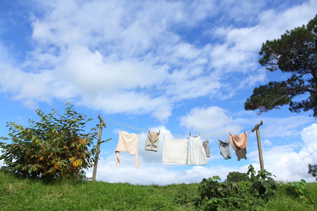 Mastering the Art of Drying Methods Explained