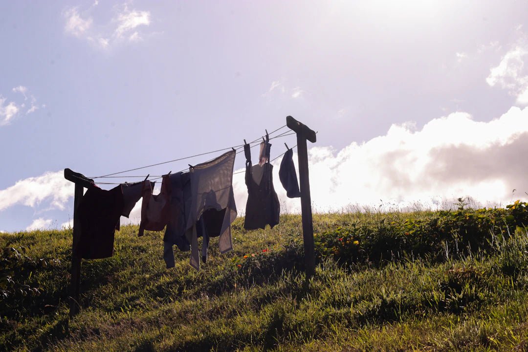 Tips to Avoid Overwhelming Scents in Your Laundry - Clean Guy