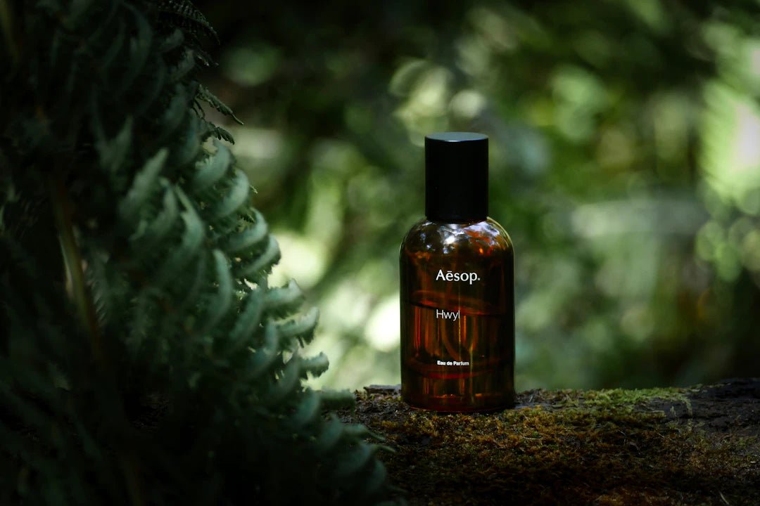 The Perfect Harmony of Cleanliness and Fragrance - Clean Guy