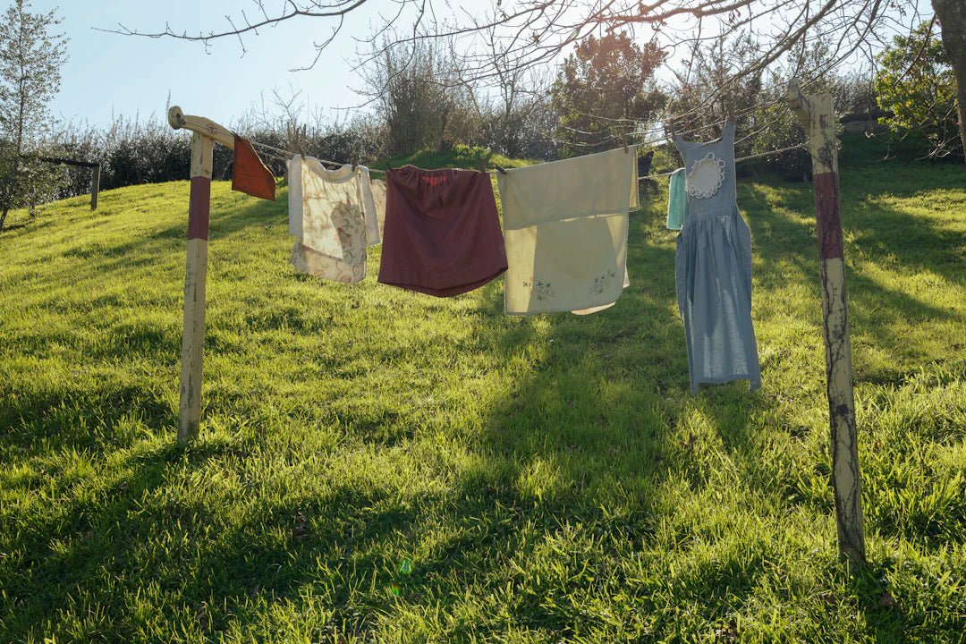 The Eco-Friendly Laundry Revolution: Clean Clothes, Clean Earth - Clean Guy