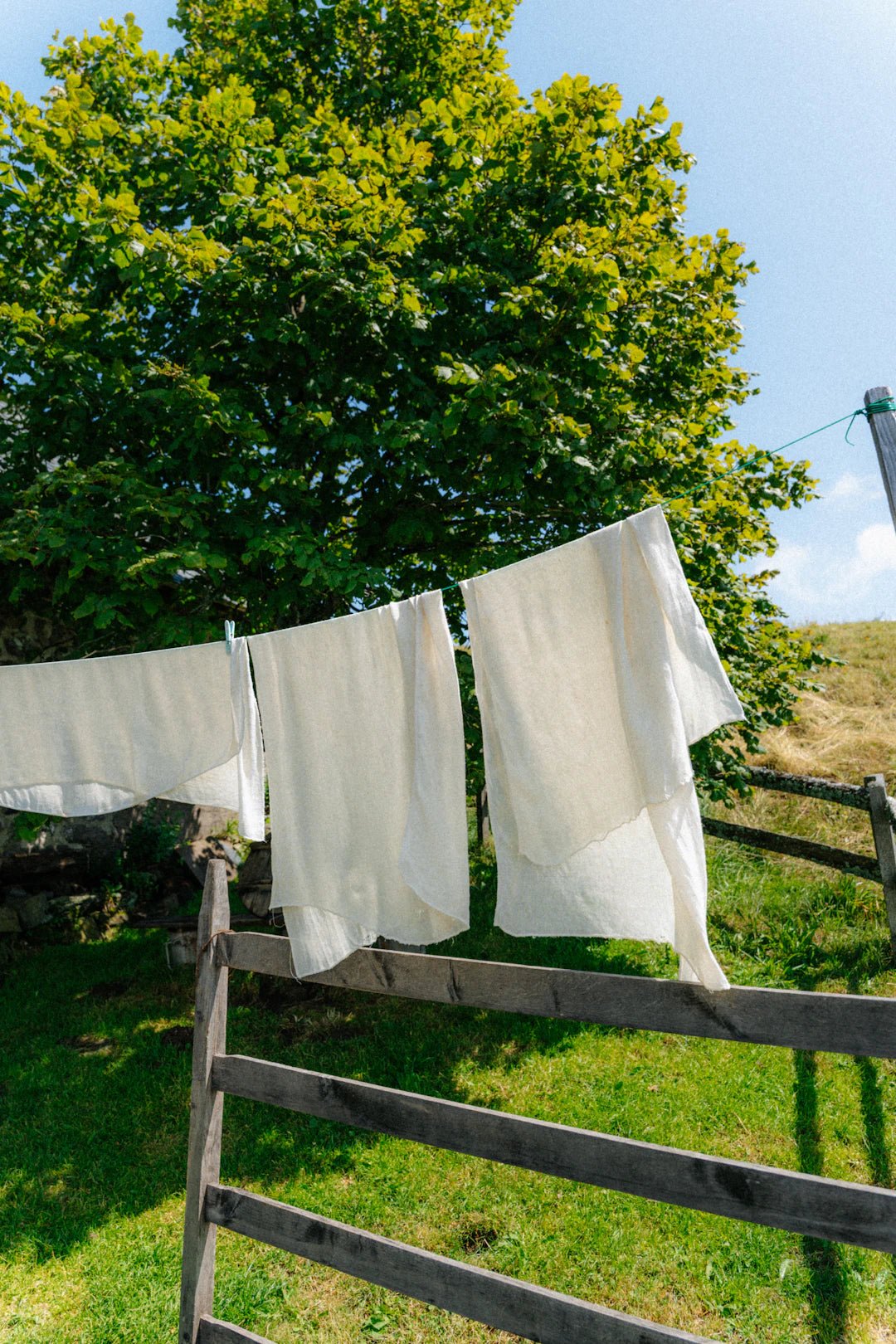 Eco-Friendly Laundry Solutions with Natural Scents for Men - Clean Guy