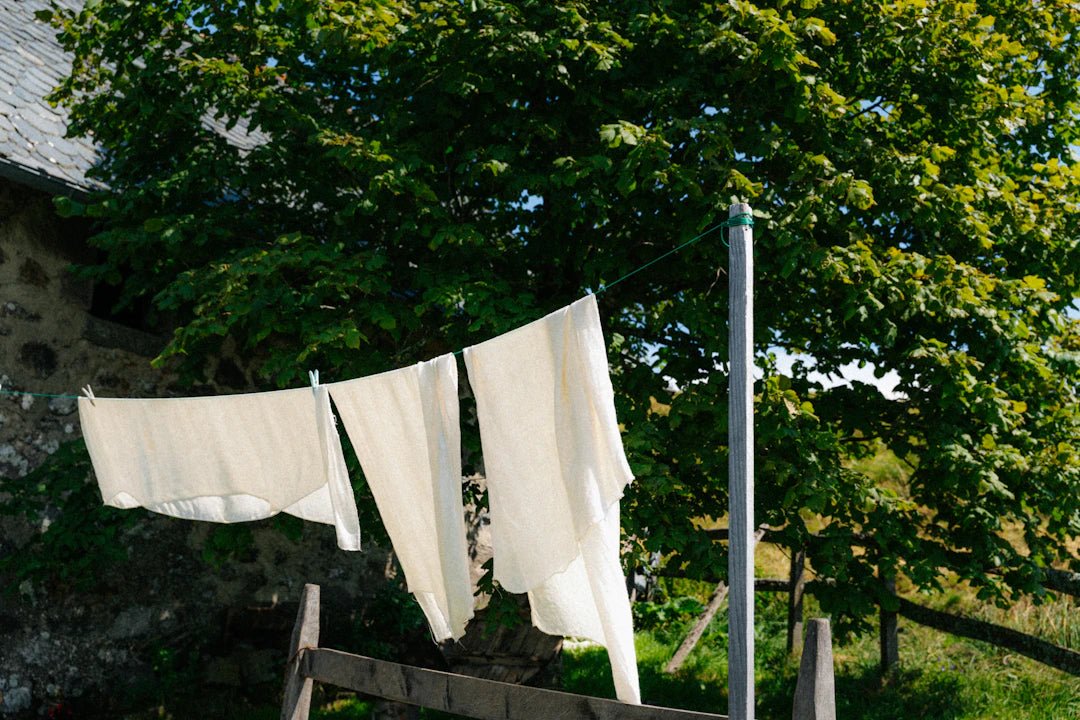 Eco-Friendly Ingredients for Fresh Laundry - Clean Guy