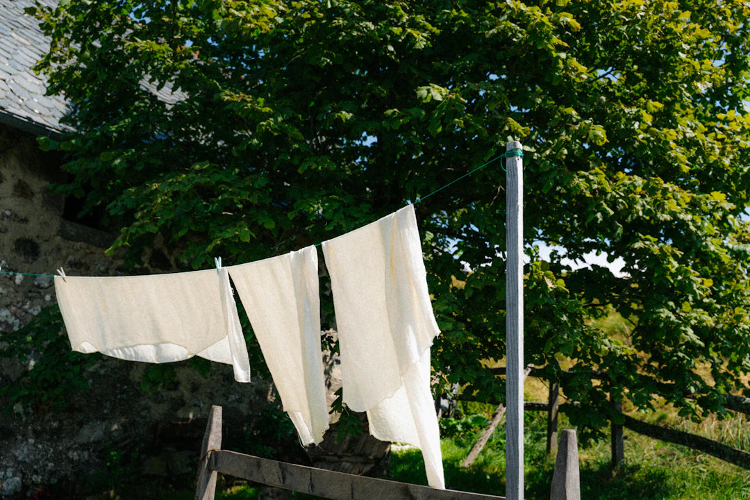 Eco-Friendly Ingredients for Fresh Laundry