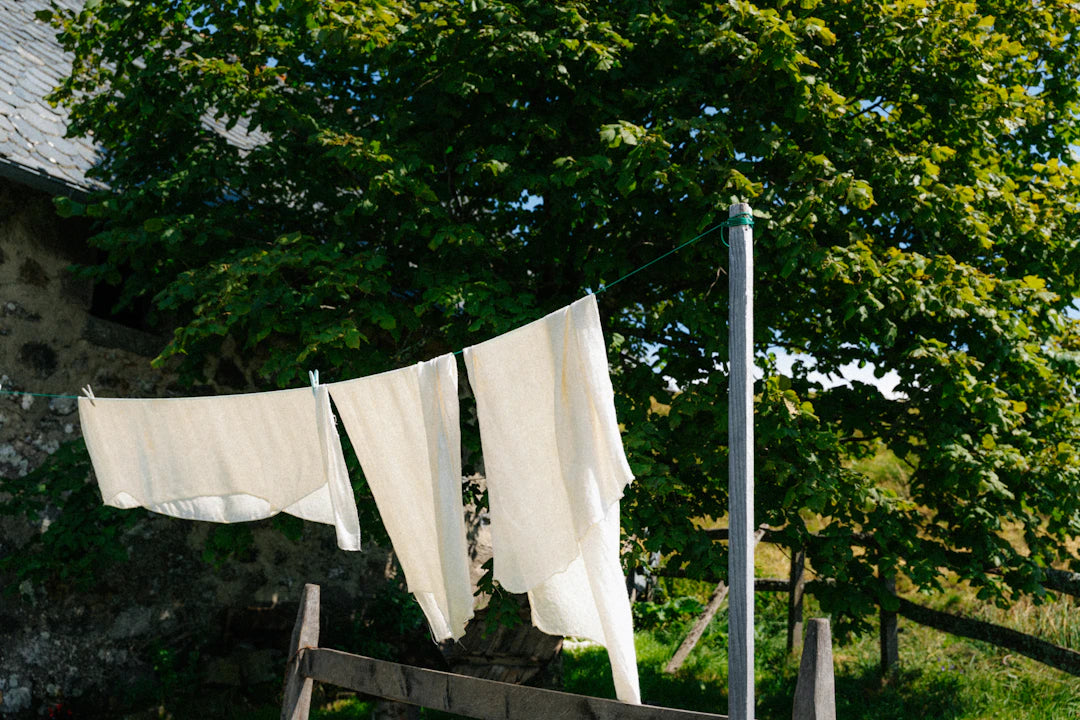 Eco-Friendly Laundry Detergents with Fresh Scents for Men