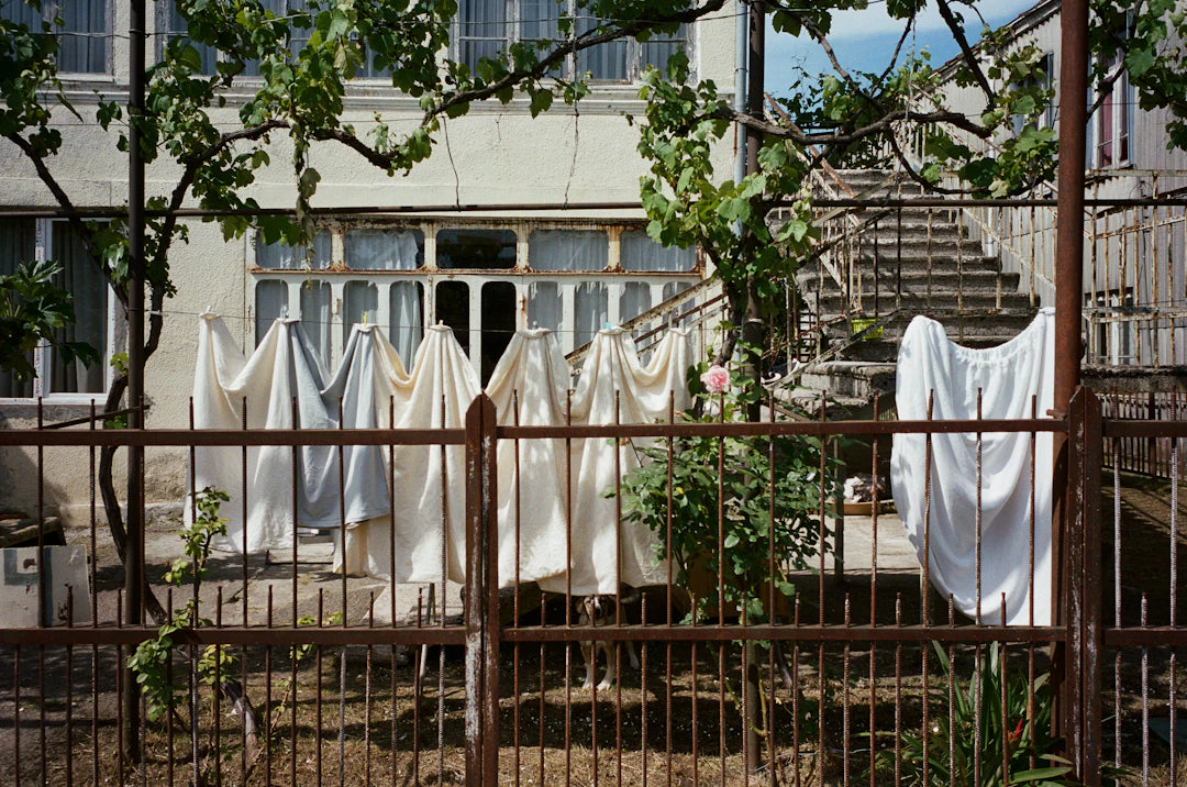 Eco-Friendly Choices Sustainability in Scented Laundry Products