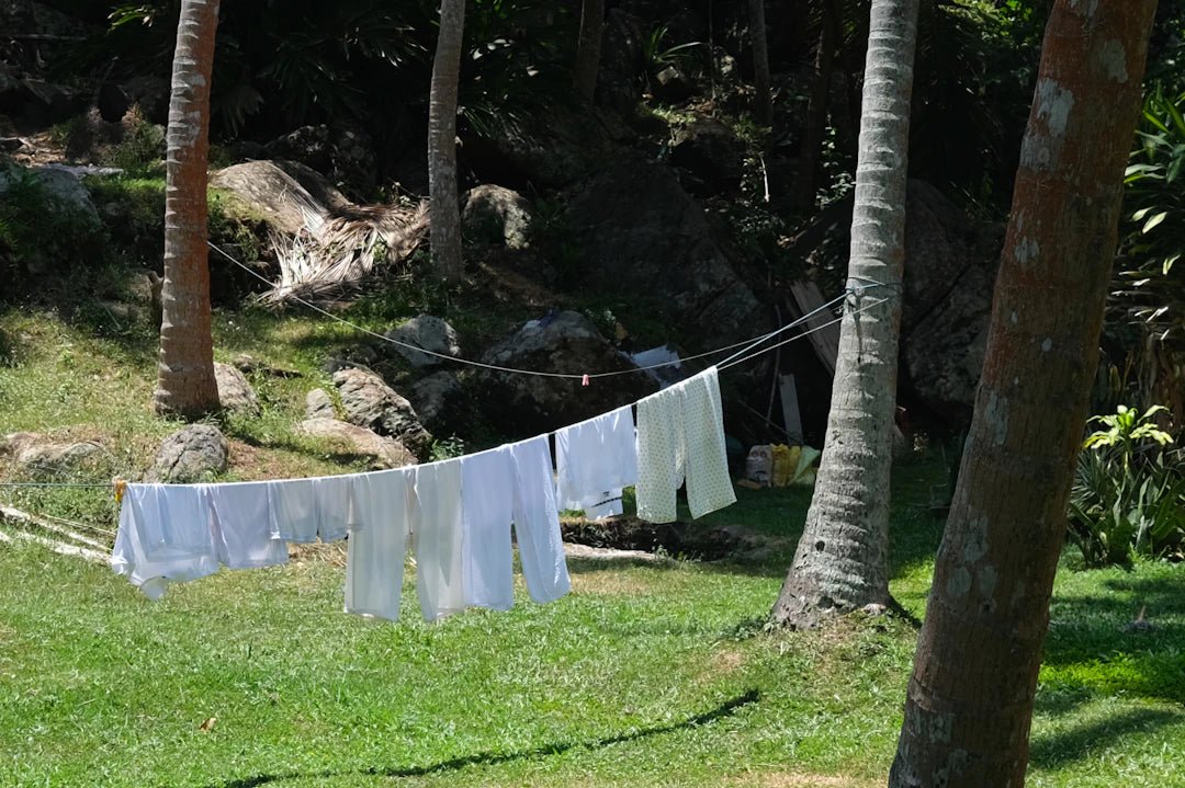 The Rise of Eco-Friendly Laundry Detergents - Clean Guy