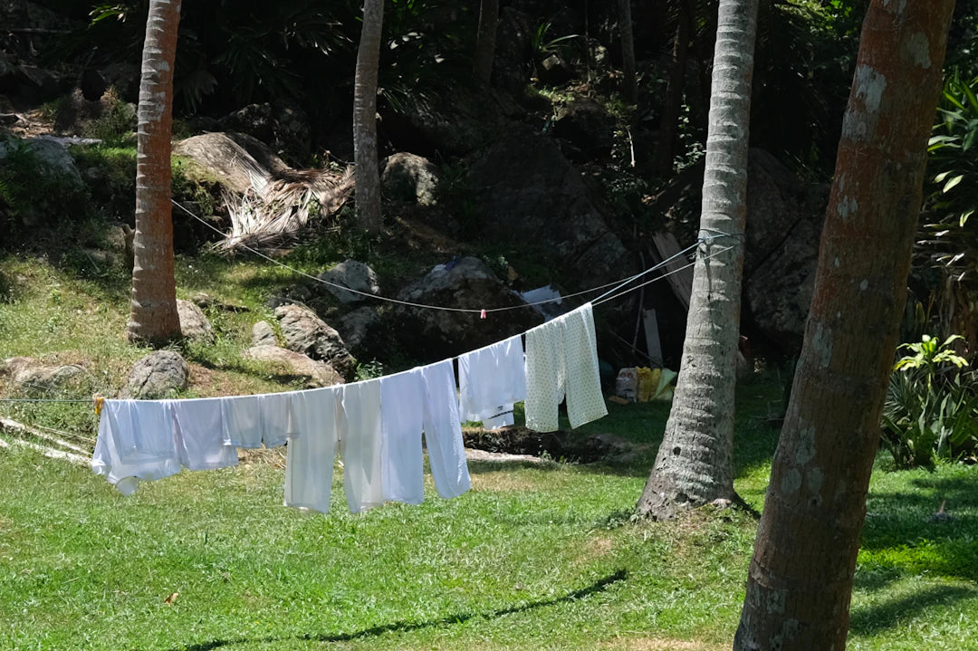 The Rise of Eco-Friendly Laundry Detergents