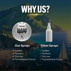 Advertisement for 'Clean Guy' sprays with a scenic background