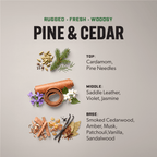 Heavy Duty Premium Laundry Detergent (100 Loads) - PINE & CEDAR - Clean Guy