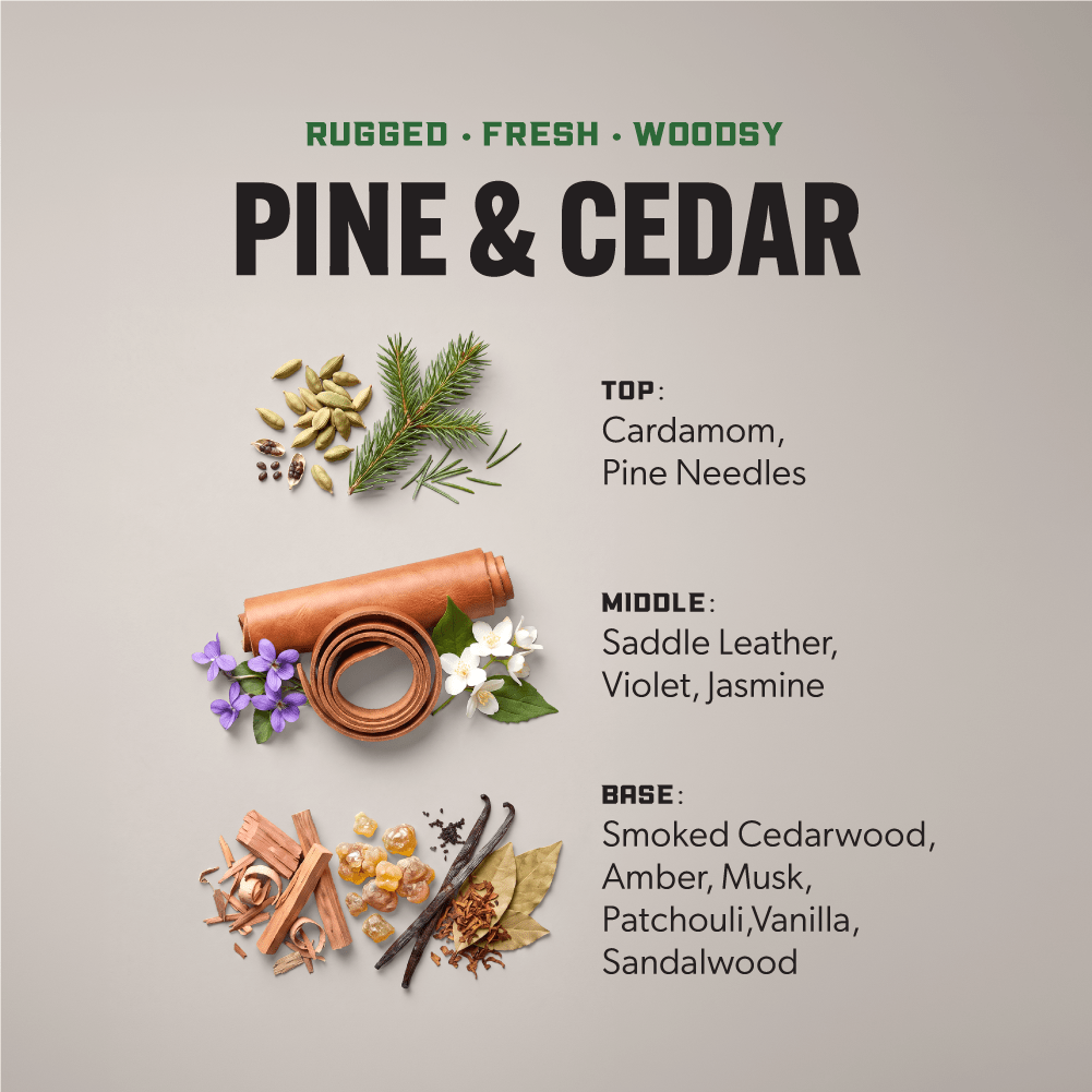 Heavy Duty Premium Laundry Detergent (100 Loads) - PINE & CEDAR - Clean Guy
