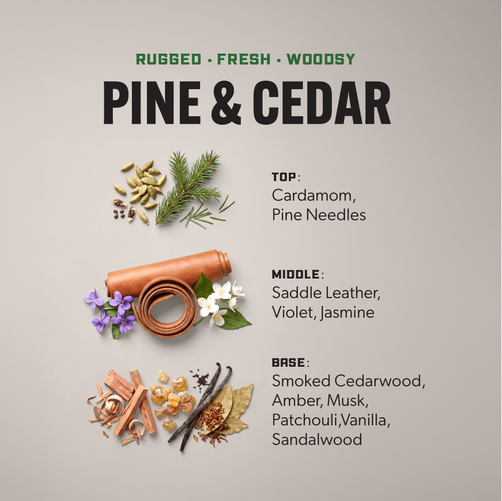 SCENT BOOSTERS PINE & CEDAR 16.2 oz - Clean Guy