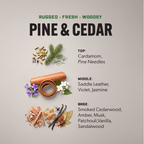 SCENT BOOSTERS PINE & CEDAR 16.2 oz - Clean Guy